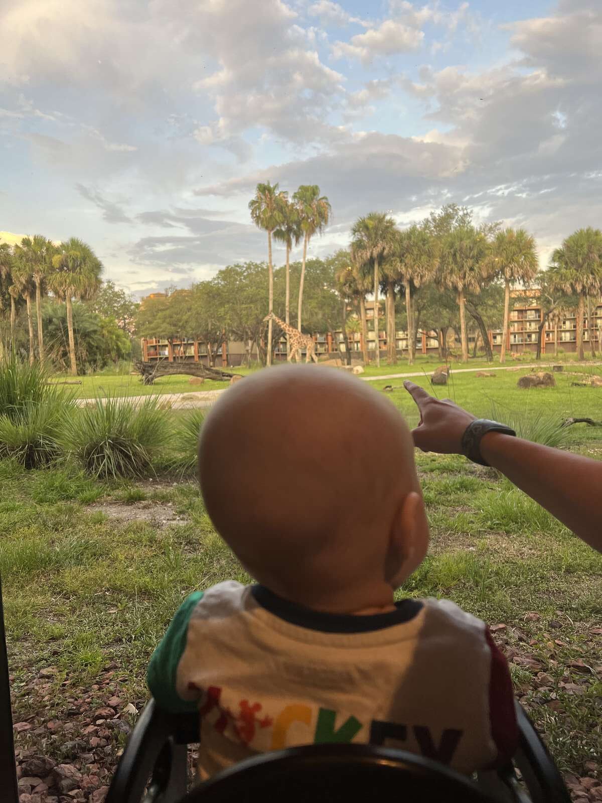 Cora and Oliver watching a giraffe walk past their table at Sanaa, Disney's Animal Kingdom Lodge