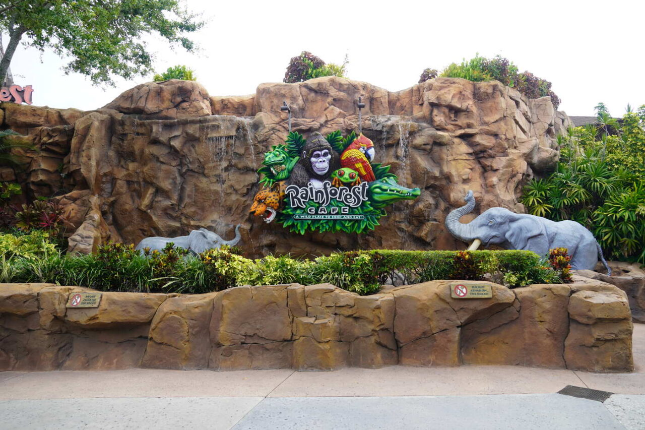 Rainforest Café exterior at Disney Springs, with jungle-themed signage