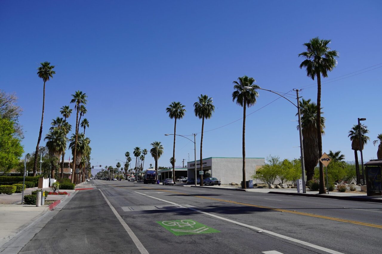 Empty road lined with palm trees