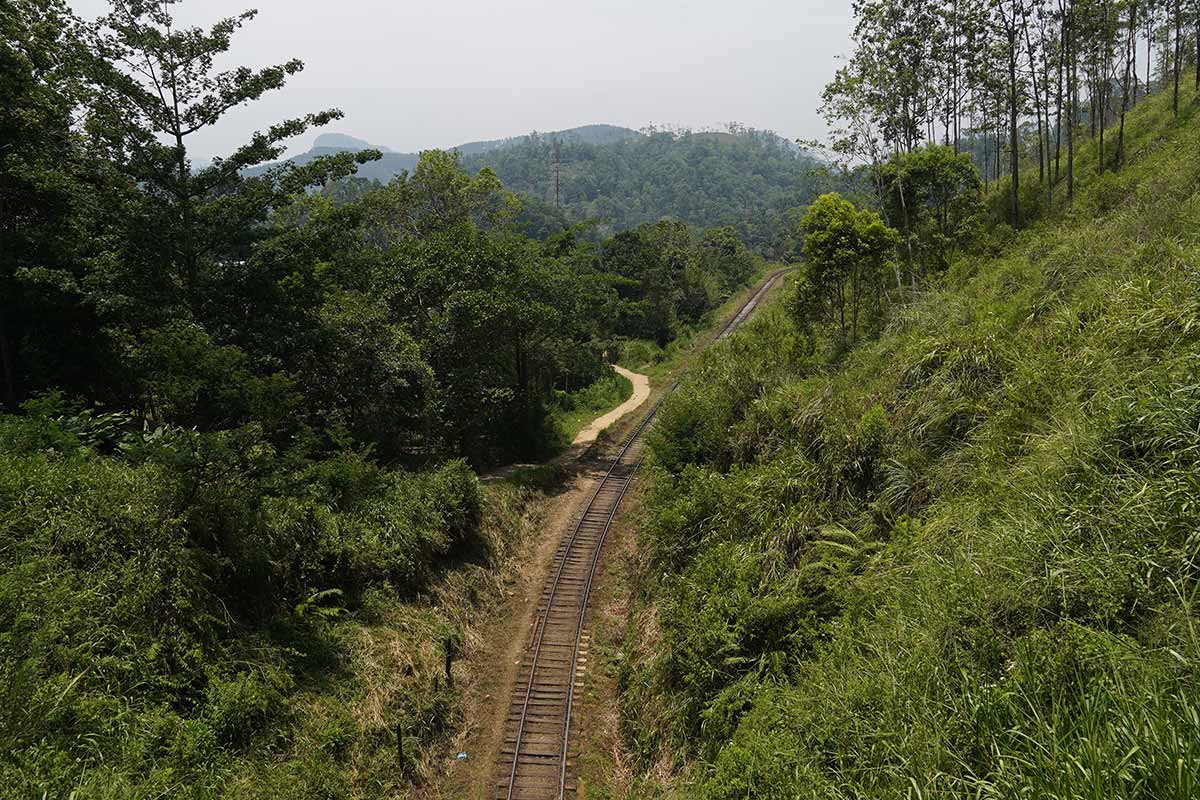 View of the train tracks with tea plantations on either side in Ella, Sri Lanka